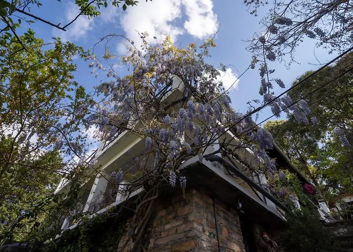 Avenida Snowcap Retreat
